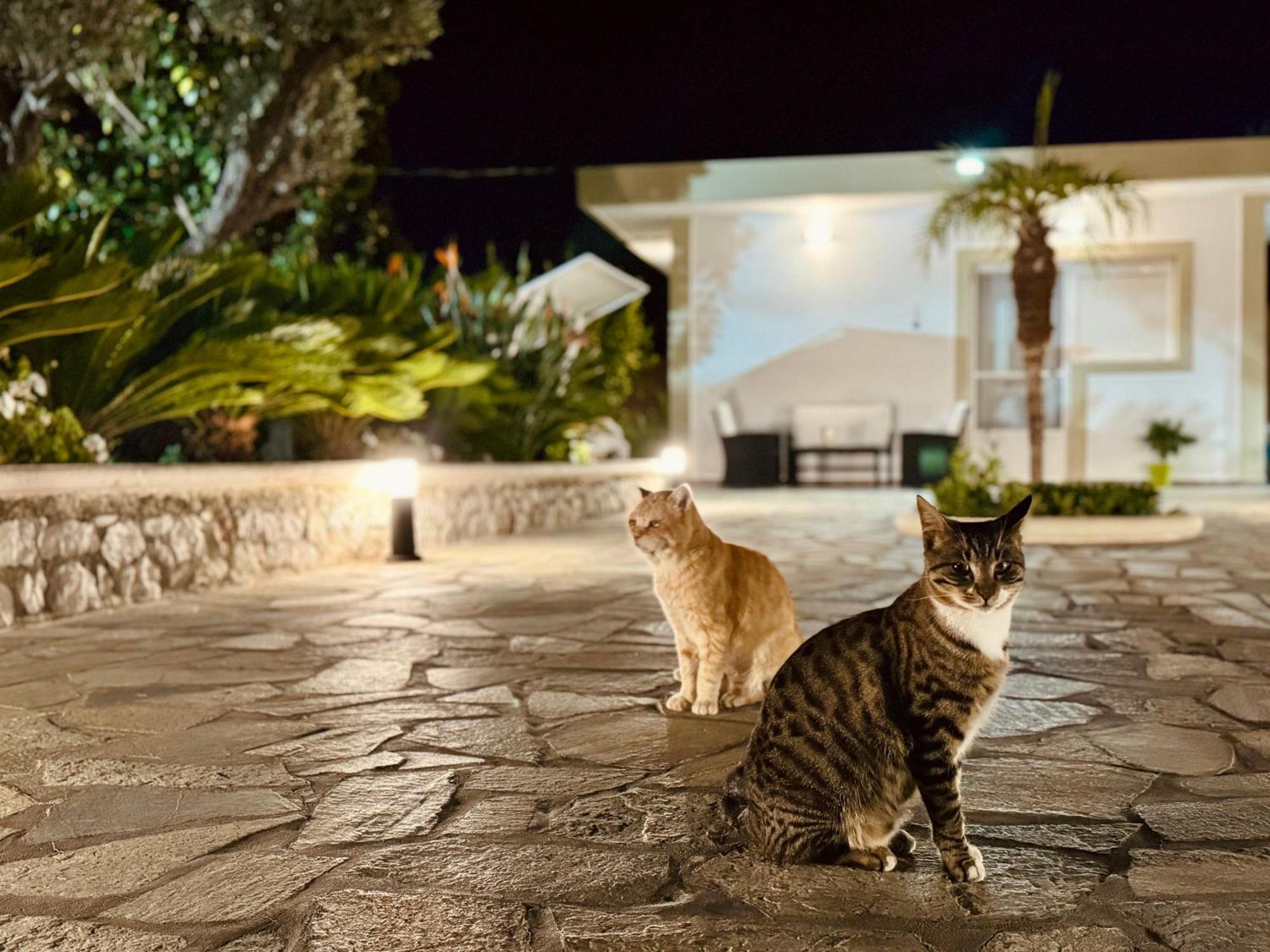 Archangelos Garden House Exterior photo